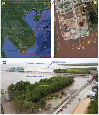 Bamboo Fences as a Nature-Based Measure for Coastal Wetland Protection in Vietnam